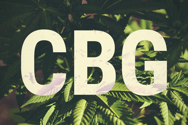 CBG And CBD: What's The Difference?