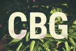 CBG And CBD: What's The Difference?